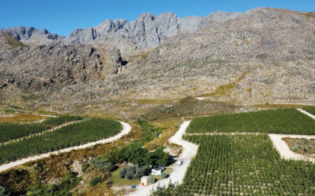 Orchardcottage Birdseye View